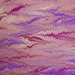 DSCN2195